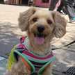 そらchimu