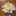 haisai43