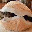 おしゃべりひまちゃん
