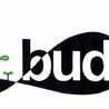 ボランティアbud