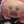 ｡･ω･ぽむ∞