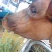 eriiiiliii