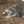 瑠那猫