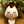 ゆった