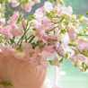 spring717