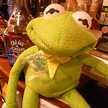 lovelykermit