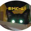 えしよ