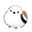 クックFYGVJN☆