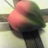 coconuts milky