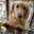 Teddy0429