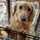 Teddy0429