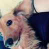 salcky