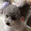 ☆sachiko☆♪