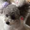 ☆sachiko☆♪