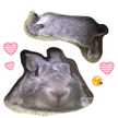 ぷぅちゃんの飼い主