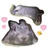 ぷぅちゃんの飼い主