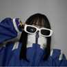 mion1264 mion1264
