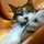 maki_t2222 maki_t2222