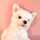 りょーかりん