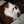 ねこば