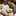 うさこのお世話係 うさこのお世話係
