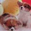 ひょうたん