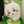 ちゃんもからら