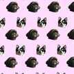 mashimaro★