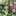 Mitsu0223 Mitsu0223