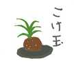 tomo-ru