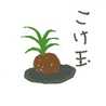 tomo-ru