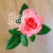 華☆87☆