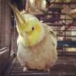 conny☆