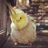conny☆