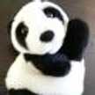 chako@