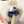 コンたま