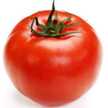 がーこたん