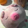 ぴぃたそ