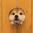 すず