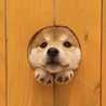 すず