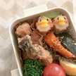 1103hito
