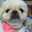 maron_chan