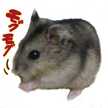 すこう