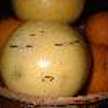 apple_cha