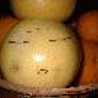 apple_cha