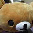 kumakumahotcake