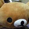 kumakumahotcake kumakumahotcake