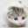 あさー汰