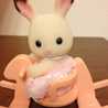うさぎの赤ちゃん
