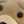 テッド(￣(工)￣)